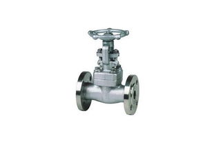 api cast steel globe valve